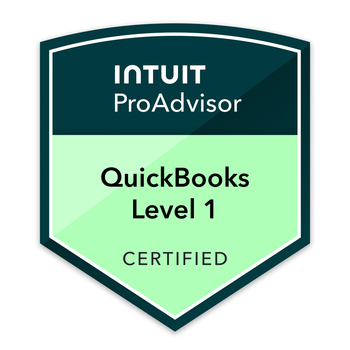 Pro Advisor 1